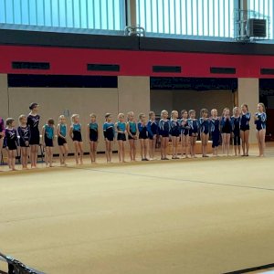 Turnerinnen zeigen ihr Können bei  Kreismeisterschaften