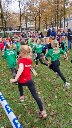 Crosslauf Lingen 1