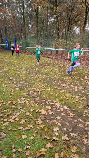 Crosslauf Lingen 3